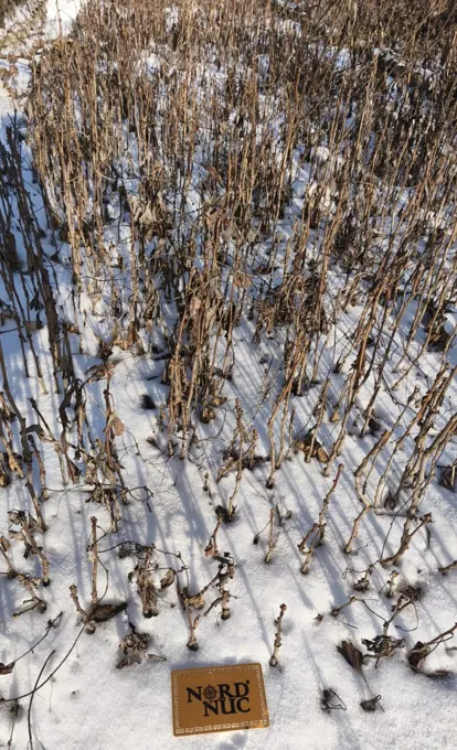 Winter field observation